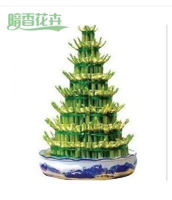 开运竹、海创园植物出租公司