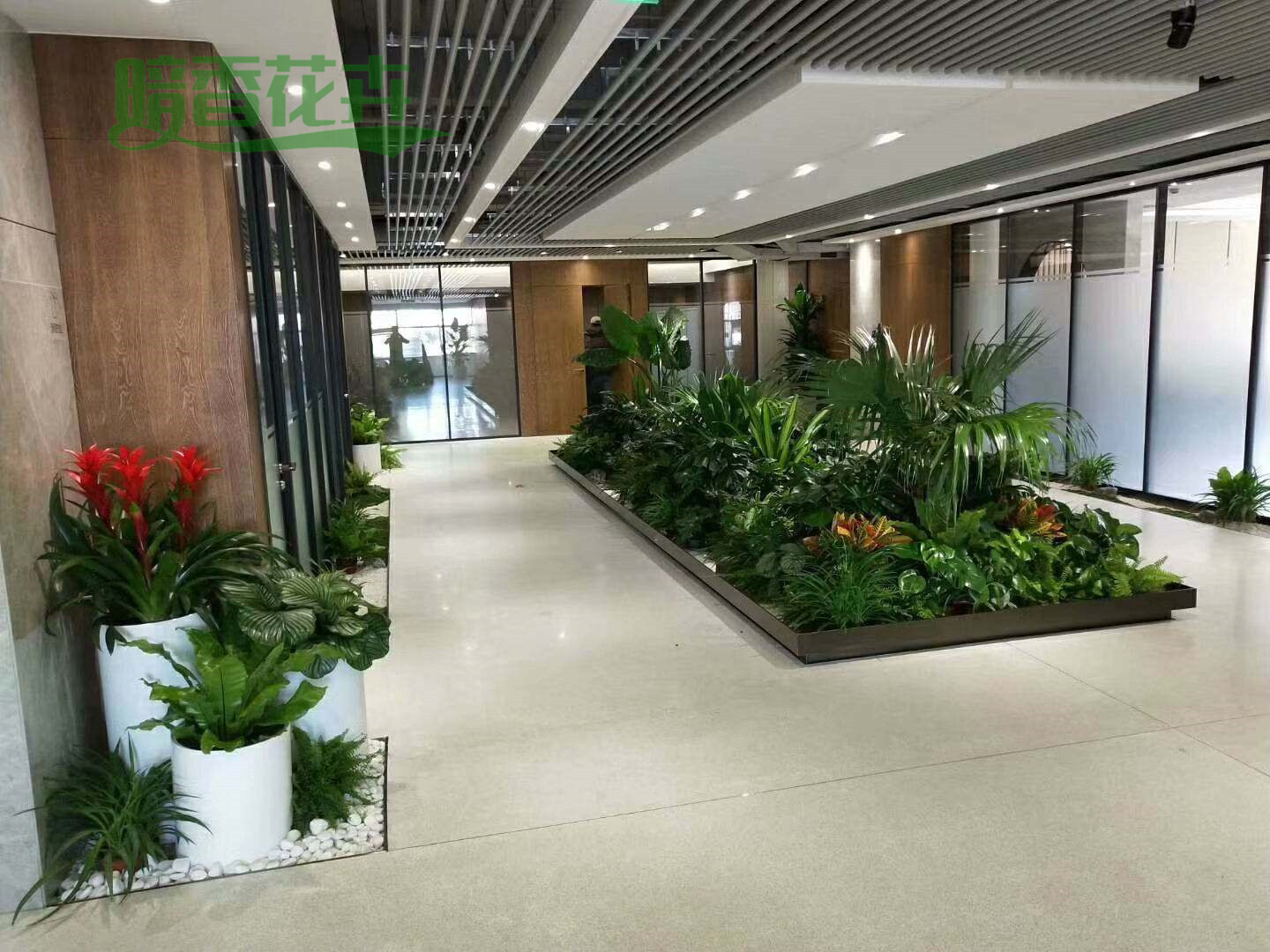 某外企绿植租赁效果